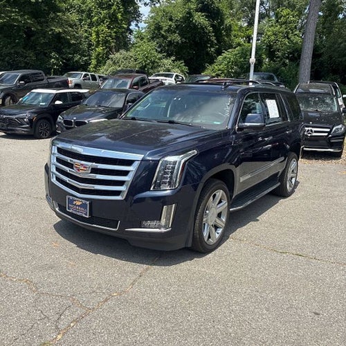 2019 Cadillac Escalade Luxury